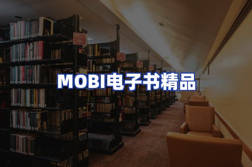 外文电子书产品